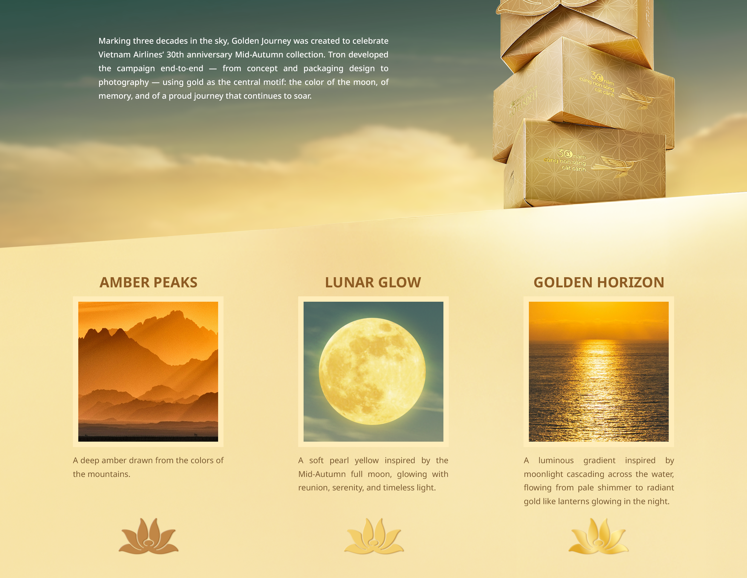 chup-anh-concept-sang-tao-2