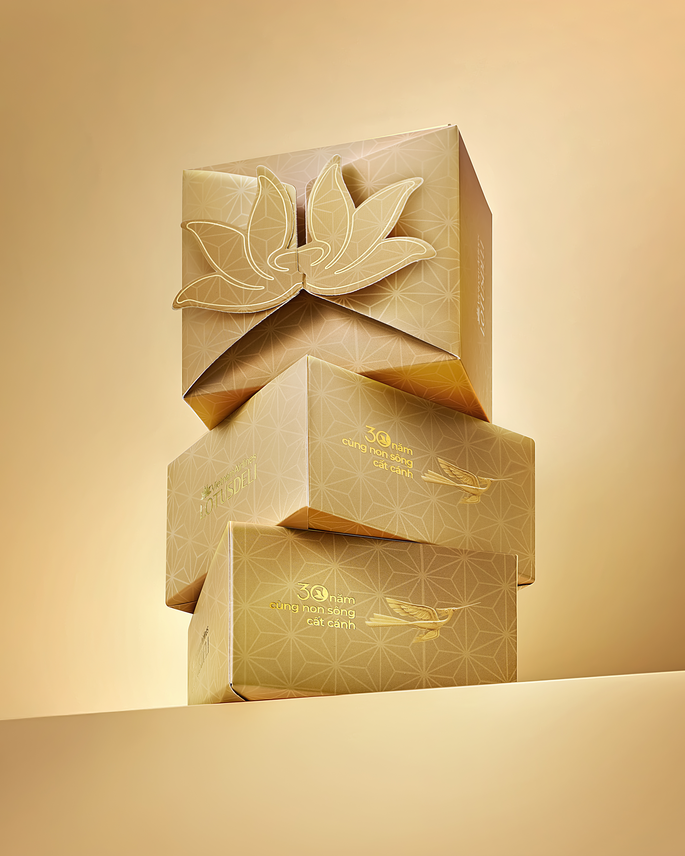 chup-anh-concept-sang-tao-7.2