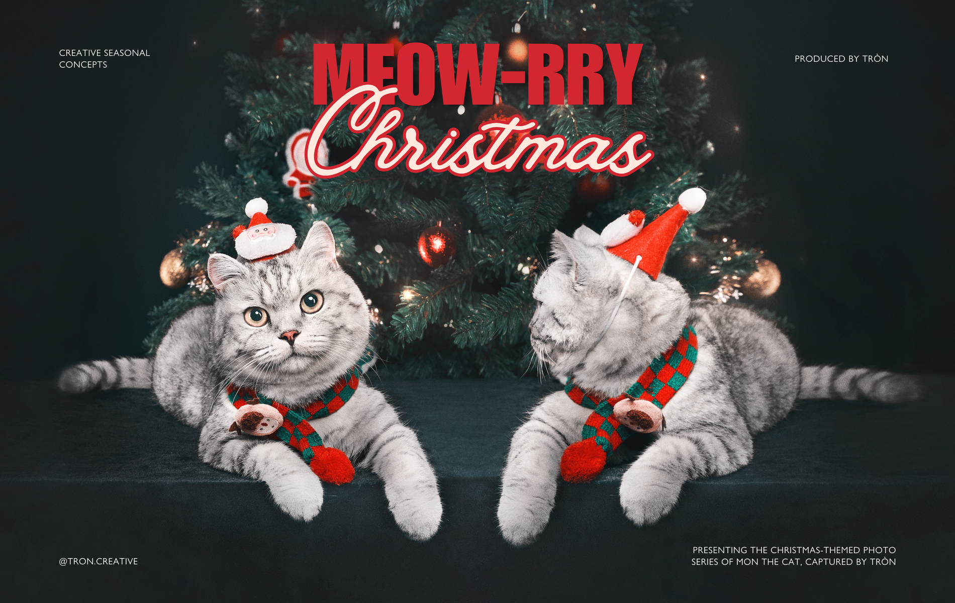 Meowrry Christmas