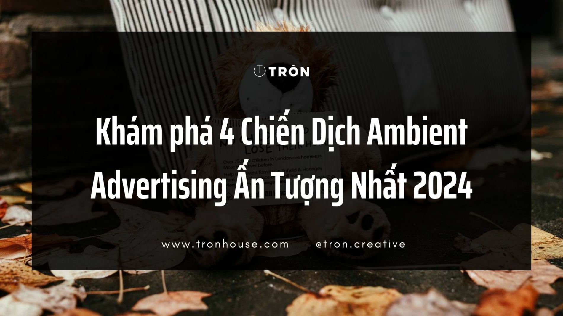 chụp hình sản phẩm