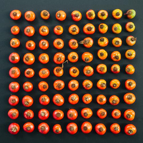 chụp hình quảng cáo tròn house