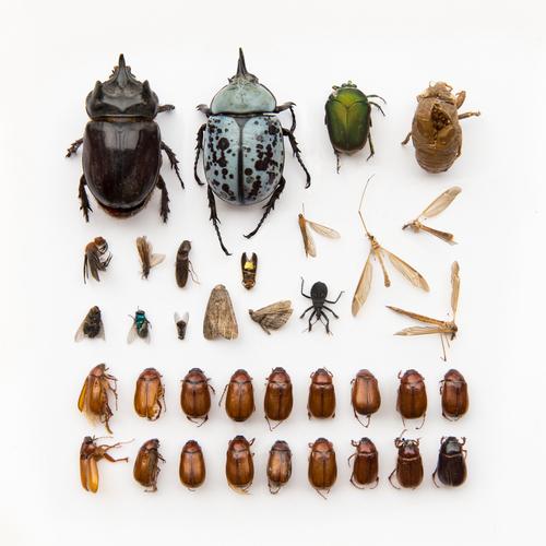 chụp hình quảng cáo tròn house